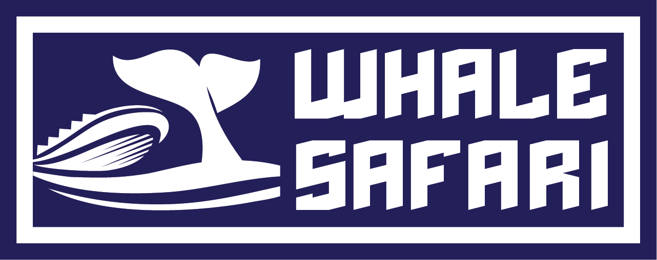 Whale Safari logo